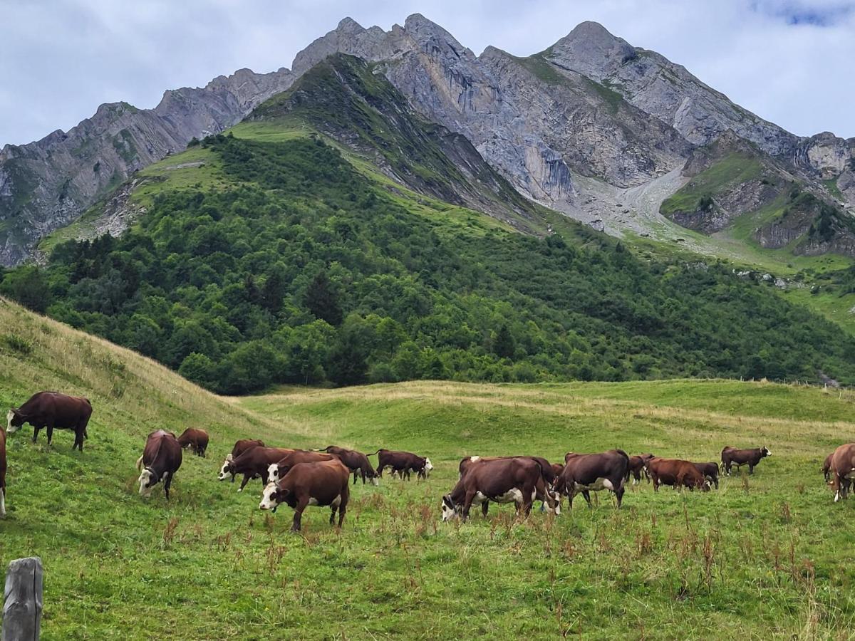 La Petite Anfiane Villa Le Grand-Bornand Eksteriør bilde